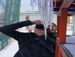 Bu kez soğuğu fotoğrafladılar